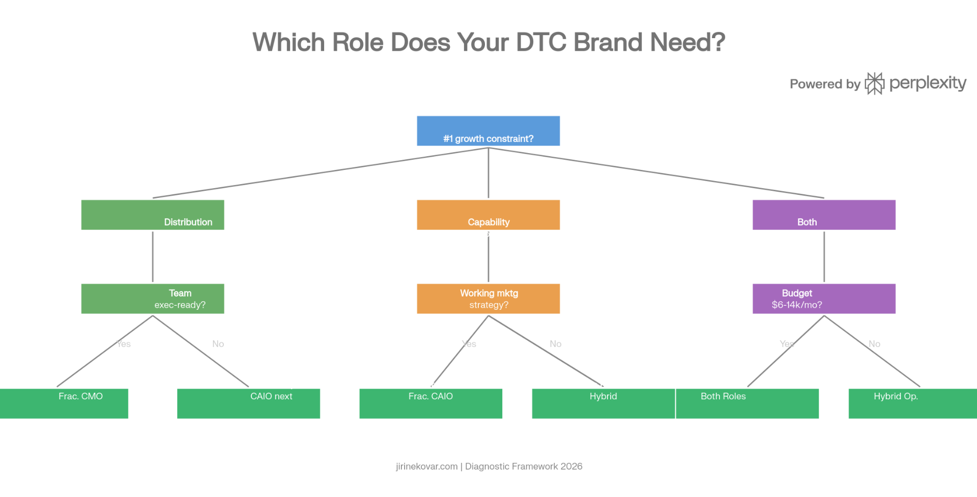 Decision flowchart: which role does your DTC brand need based on your #1 growth constraint